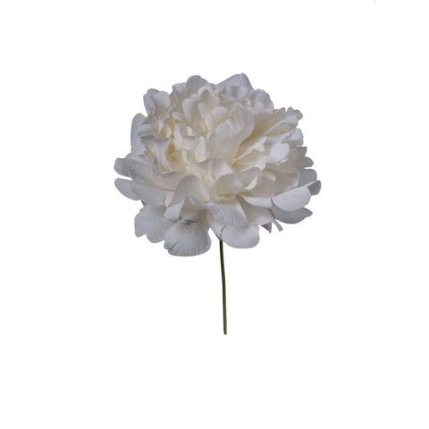 PICK PEONIA CREMA 13X13X16